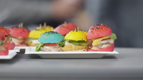 Delicious-colorful-snack-hanburgers-on-a-plate-as-appetizers