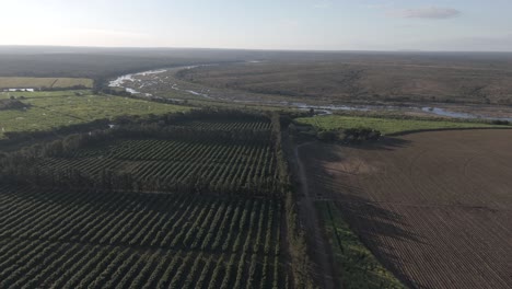 Slow-drone-flight-reveals-contrasting-green-waves-of-sugarcane-and-pepper-farms-with-trees-bordering-the-Kruger-National-Park