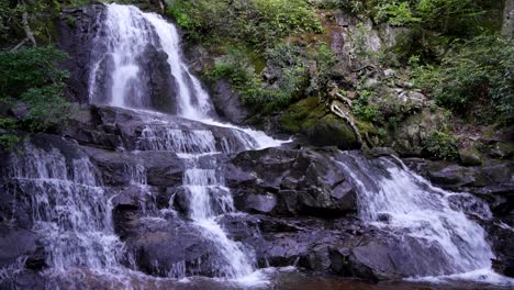 Cascadas-De-Laurel-En-Montañas-Humeantes