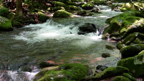 Un-Arroyo-Que-Fluye-En-Montañas-Humeantes