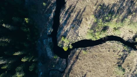 Seterdjupna,-Holtålen,-Trondelag,-Norwegen-–-Ein-Fluss-Schlängelt-Sich-Durch-Weitläufiges,-Mit-Bäumen-übersätes-Gelände-–-Vertikale-Aufnahme