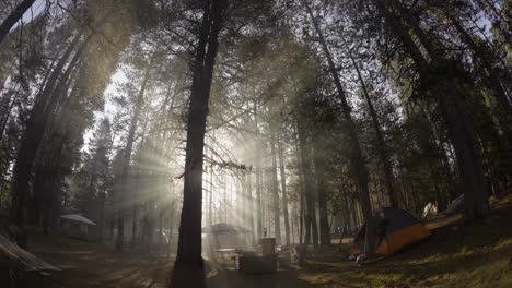 Timelapse-of-people-camping-in-a-foggy-forest