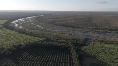 Drohnenansicht-Zeigt-Kontrastierende-Zuckerrohr--Und-Pfefferfarmen,-Getrennt-Durch-Einen-Saisonalen-Fluss,-Am-Rande-Des-Krüger-Nationalparks