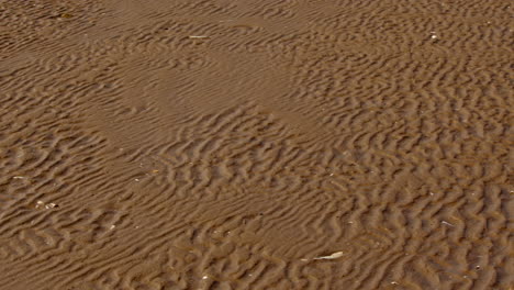 Panning-shot-of-the-wet-sand-ripples-on-an-open-beach-at-Saltfleet,-Louth,-Lincolnshire