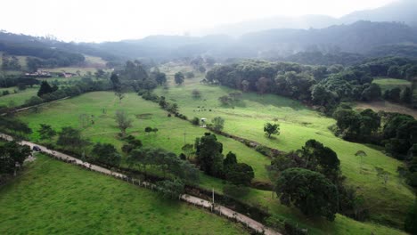 Toma-Panorámica-De-Campos-Verdes-Con-Densos-árboles-Durante-La-Mañana-Brumosa