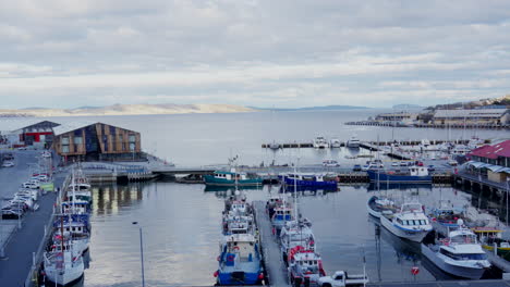 Barcos-Pesqueros-Amarrados-En-El-Puerto-De-Hobart-Temprano-En-La-Mañana,-Tasmania,-Australia