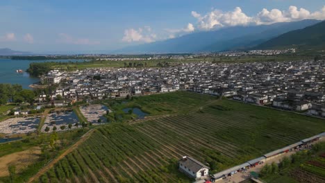 Panning-aerial-footage-of-a-flower-farm-located-in-Dali,-Yunnan-Province,-China