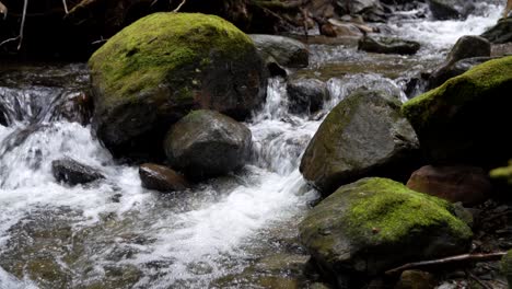 Un-Arroyo-Que-Fluye-En-Tennessee