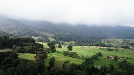 Aerial-shot-of-a-field-with-dense-trees-and-bushes-on-a-foggy-day