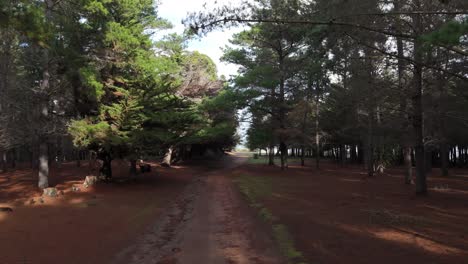 Quintay-Valparaiso-Chile-Tunquen-drone-flying-front-trees