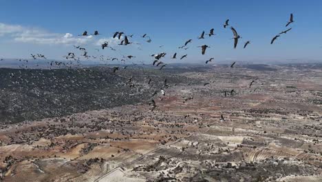 Migración-De-Aves-Grúa-Volando-En-Las-Montañas-Tauro,-Colorido-Paisaje-De-La-Tierra-Tomado-Desde-El-Aire