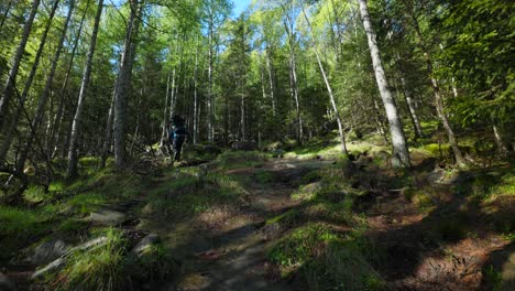 Weitwinkel-Rückansicht-Eines-Rucksacktouristen,-Der-Allein-Mit-Der-Natur-Durch-Den-Jungen-Wald-Wandert