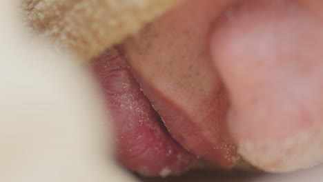 close-up-of-dehydrated-lips-of-male-man-laying-down-on-ground-and-covered-in-desert-sand