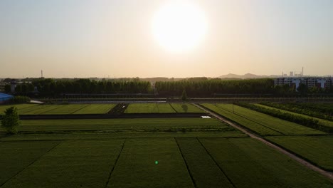 Vista-Aérea-De-Campos-Agrícolas-Cerca-De-Una-Zona-Residencial-Al-Atardecer-En-La-Provincia-De-Shandong,-China.