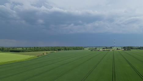 Evergreen-Plains-With-Agricultural-Landscape-Under-Cloudy-Sky