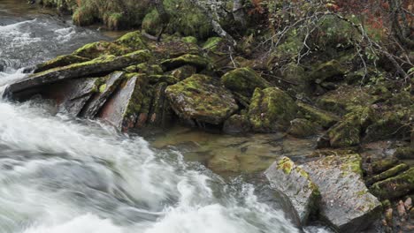 Ein-Wilder-Fluss-Rauscht-Durch-Ein-Felsiges-Flussbett-über-Die-Dunklen,-Moosbedeckten-Steine-Und-Zeigt-Auf-Dramatische-Weise-Die-Ungezähmte-Kraft-Und-Raue-Schönheit-Der-Natur.