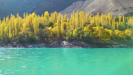 Moving-drone-view-of-Skardu-Valley-trees-during-spring-and-with-a-waterfront-in-Pakistan