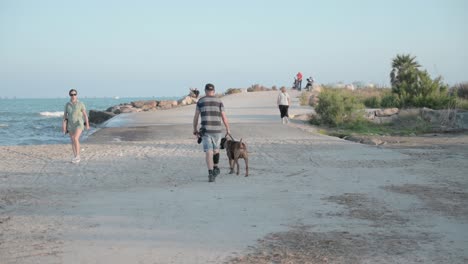 Hombre-Caminando-Con-Su-Perro-Boxer-Junto-A-La-Playa-En-Un-Día-Soleado