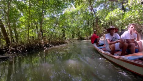 Amazonas,-Brasilien:-Fahrt-Mit-Dem-Motorisierten-Kanu-Entlang-Der-Nebenflüsse-Des-Amazonas,-Um-Die-Außergewöhnlichen-Mangroven-Zu-Sehen