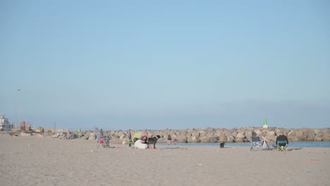 Standbild-Von-Einem-Hundestrand-An-Einem-Sonnigen-Tag,-An-Dem-Ein-Mann-Seinen-Hund-Bürstet