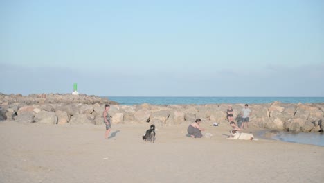 Mujer-Jugando-Con-Sus-Perros-En-Una-Playa-Para-Perros-En-Un-Día-Soleado