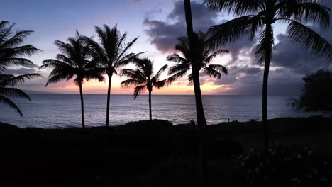 Hermoso-Resort-De-Playa-Tropical