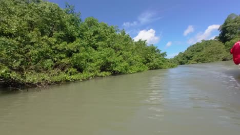 Amazonas,-Brasil:-Explorando-Los-Bosques-De-Manglares-En-Canoa-Motorizada