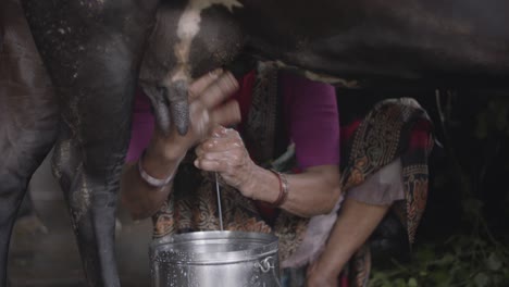 La-Tranquila-Luz-De-La-Mañana-Baña-Las-Manos-De-Una-Mujer-Mientras-Ordeñan-Suavemente-Una-Vaca-Contenta.