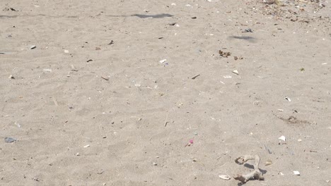 sand-pollution-in-Carter-road-beach-plastics-and-waste-food-are-thrown-on-beach-mumbai-india