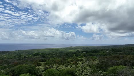 Small-Plane-Flying-Over-The-Lush-Green-Coastal-Landscapes-Of-Hana