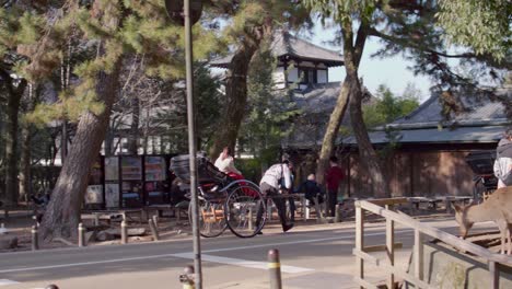 Man-pulling-rickshaw-with-two-passengers-along-street-in-Nara-Park