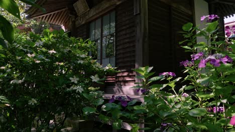 Hermoso-Movimiento-Lento-Hacia-El-Edificio-Del-Santuario-De-Madera-Con-Flores-De-Hortensia