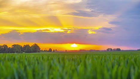 Lebendiger-Sonnenuntergang-über-Einem-üppigen-Grünen-Feld-Mit-Farbenfrohem-Himmel,-Zeitraffer