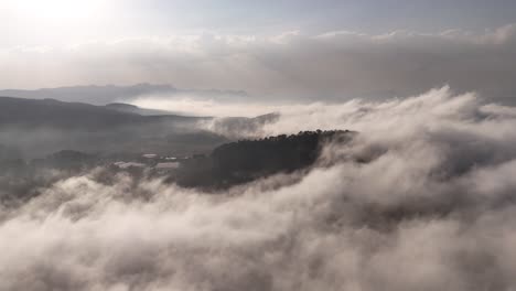 Erstaunlicher-Nebel,-Der-In-Den-Wald-Eindringt