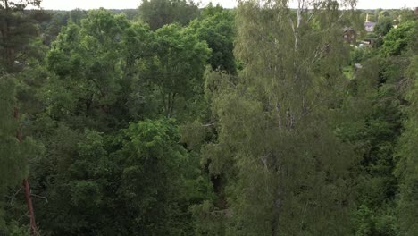 Aerial-view-of-the-city-of-Strenci-showing-a-mix-of-urban-and-natural-elements