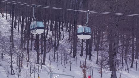 A-snowy-forest-with-a-ski-lift-running-through-the-trees