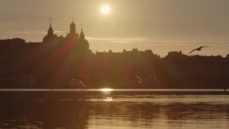 Vivid-sunrise-over-Old-Parliament-House-and-gulls-fly-at-Riddarholmen-Stockholm