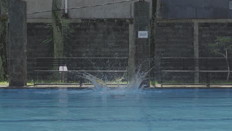 Long-Distance-Shot-Of-Professional-Swimmer-Jump-In-Swimming-Pool-And-Doing-Style-Crawl-Swimming