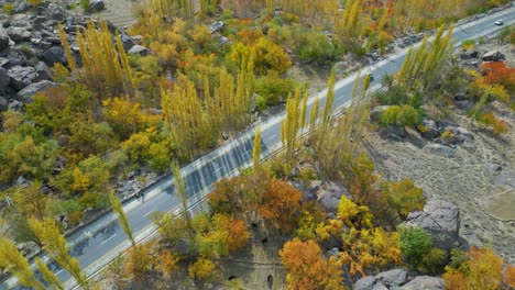 Aerial-top-view-of-Pakistani-locals-passing-by-streets-covered-by-spring-yellow-trees-in-Skardu,-Pakistan