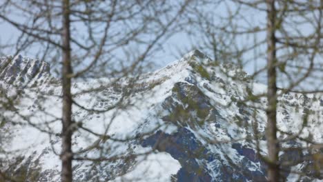 Enfoque-Lento-En-Rack-Desde-Los-Incipientes-árboles-Primaverales-Hasta-El-Pico-De-Una-Montaña-Cubierta-De-Nieve,-Alpes-Italianos