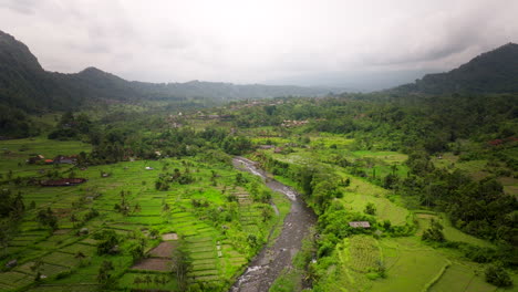 Paddies-And-Rice-Terraces-With-River-Near-Settlements-In-Sidemen,-Bali-Indonesia