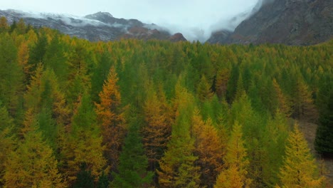 Fall-autumn-trail-larch-forest-trees-aerial-drone-village-Saas-Fee-Swizerland-gray-grey-rainy-fog-mist-moody-Swiss-Alps-mountain-peaks-Feevispa-River-glacier-peaceful-valley-cloud-layer-forward