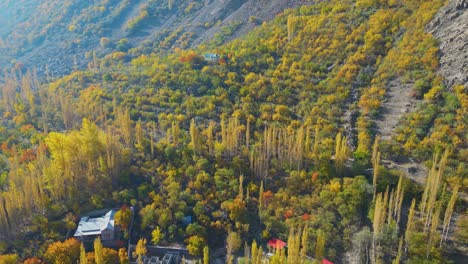 Toma-Aérea-De-Alto-ángulo-Del-Valle-De-Skardu-En-Pakistán-Durante-El-Día-Cubierto-De-árboles-De-Hojas-Amarillas-Y-Verdes.