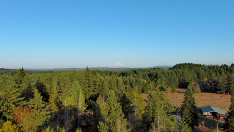 Imágenes-De-Drones-Que-Revelan-La-Cima-Del-Monte-Rainier-A-Través-De-Altos-Pinos-En-Un-Día-Despejado