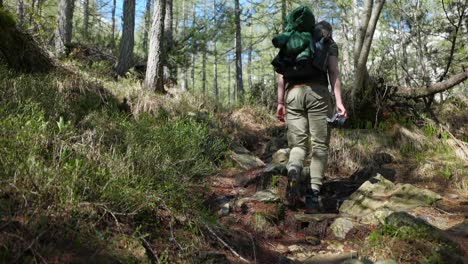 A-man-with-backpack-hikes-up-trail-through-forest-while-carrying-a-camera-in-hand