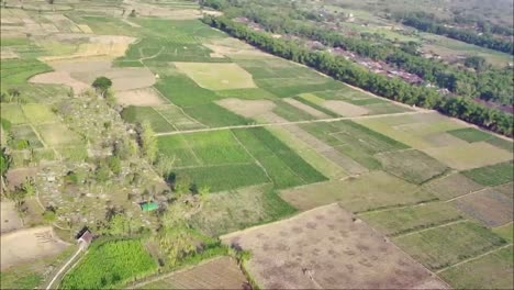 Aerial-shot-of-rural-fields-in-Blora-Regency,-Central-Java-Province,-Indonesia