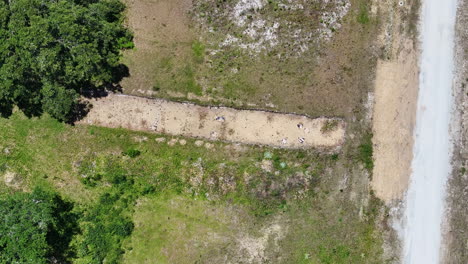 Toma-Aérea-Del-Sitio-De-Excavación-Arqueológica-De-Una-Aldea-Nativa-Americana