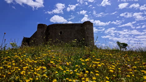 Antiguo-Castillo-Cruzado-Con-Flores-Silvestres-En-Primer-Plano