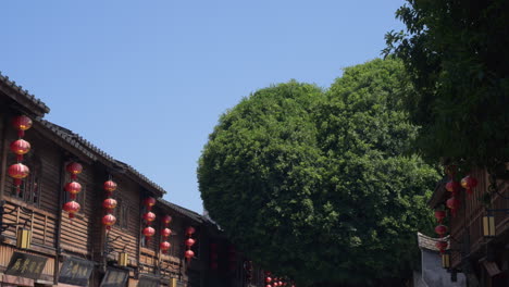 Famous-heart-shaped-tree-in-Sanfang-Qixiang,-Fuzhou-City,-China