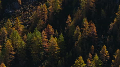 Saastal-Saas-Fee-Switzerland-aerial-drone-Larch-forest-sun-glacier-crevasse-beautiful-sunny-fall-autumn-larch-forest-trees-Swiss-Alps-mountain-peaks-glacier-valley-Zermatt-The-Matterhorn-left-motion